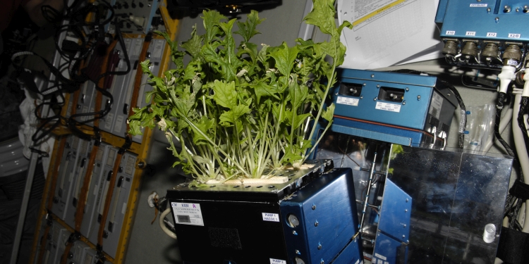 nasa_plants